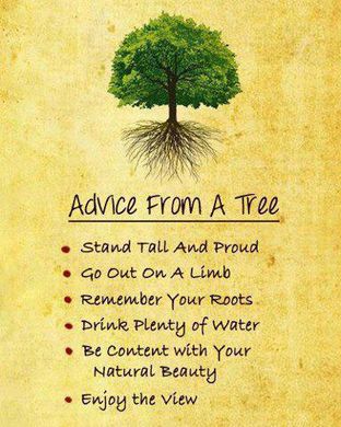 http---griefandmourning.com-wp-content-uploads-2013-05-Advice-from-a-Tree-Earth.WeAreOne1